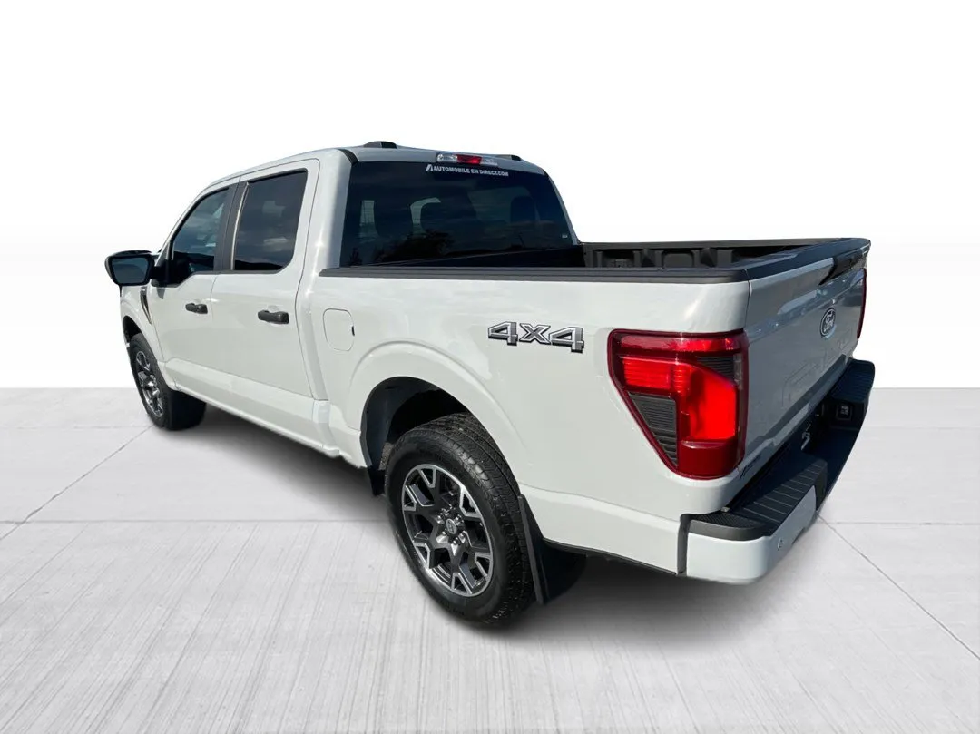 2024 Ford F-150 STX 4WD, photo 10
