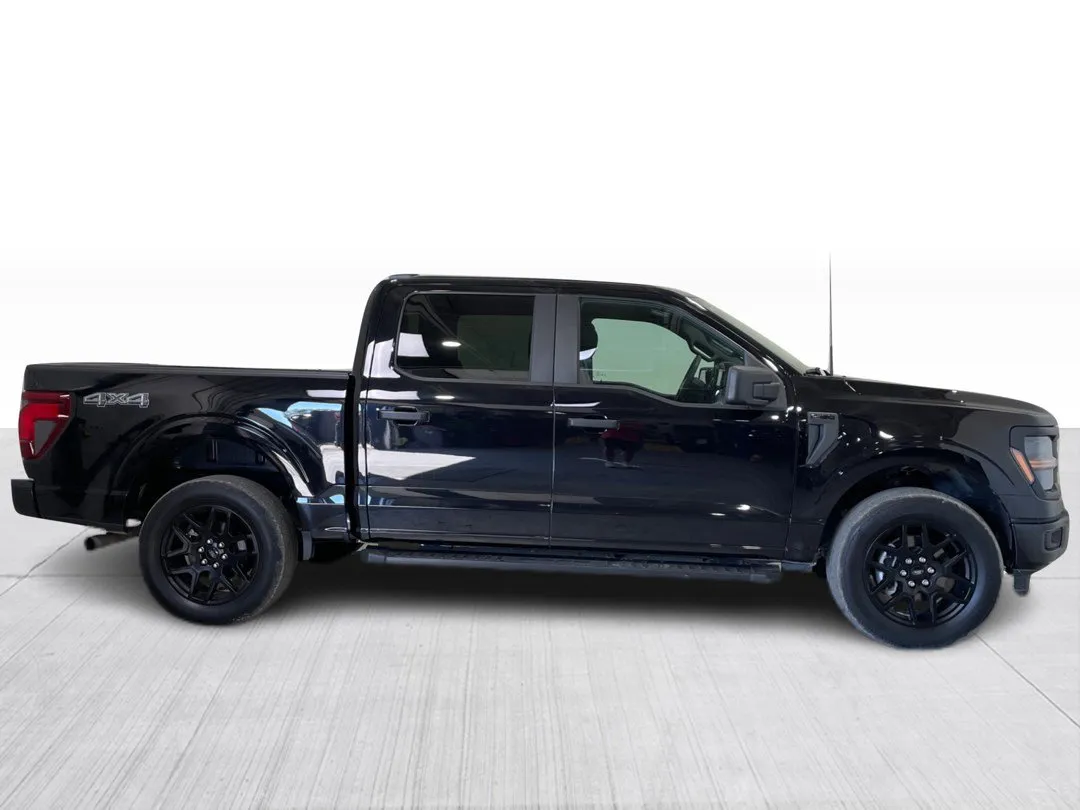 Ford F-150 2024 à vendre - photo 1