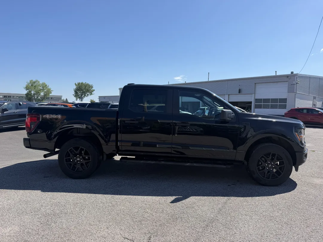 2024 Ford F-150 for sale - photo 4