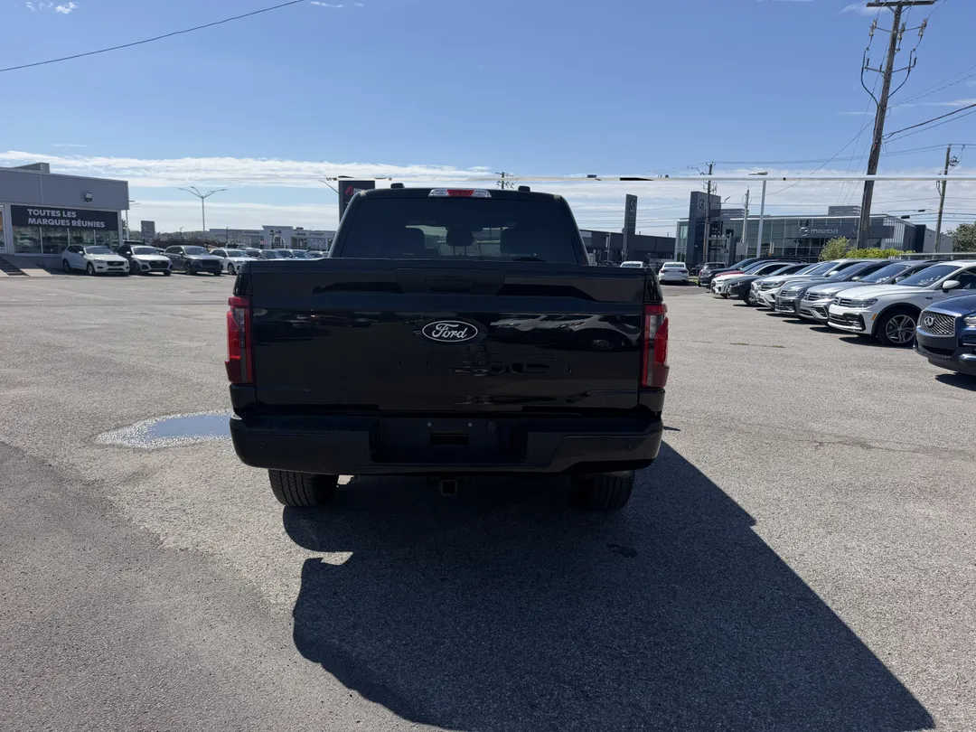 2024 Ford F-150 STX 4WD, photo 6