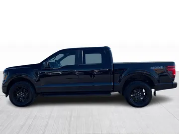 2024 Ford F-150 - image 10