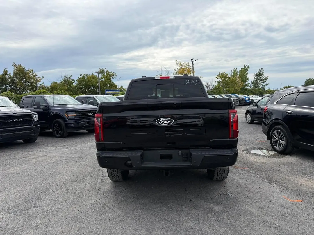 Ford F-150 XLT 4WD 2024, photo 5