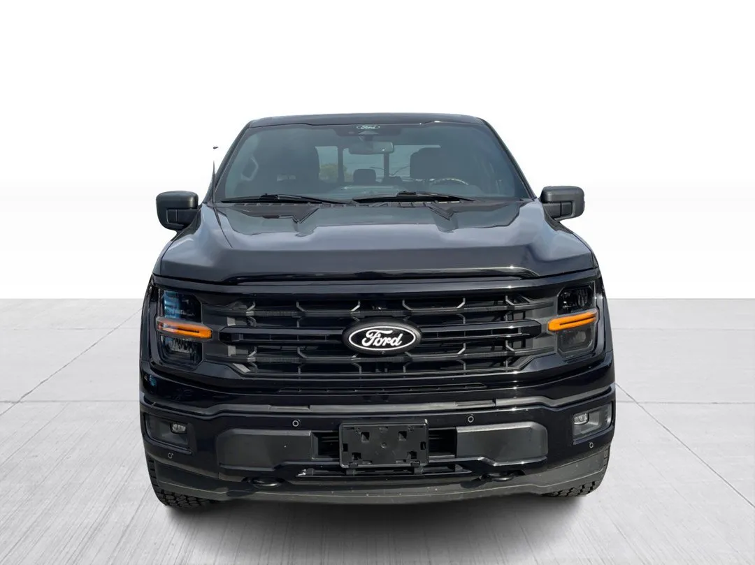 2024 Ford F-150 for sale - photo 2
