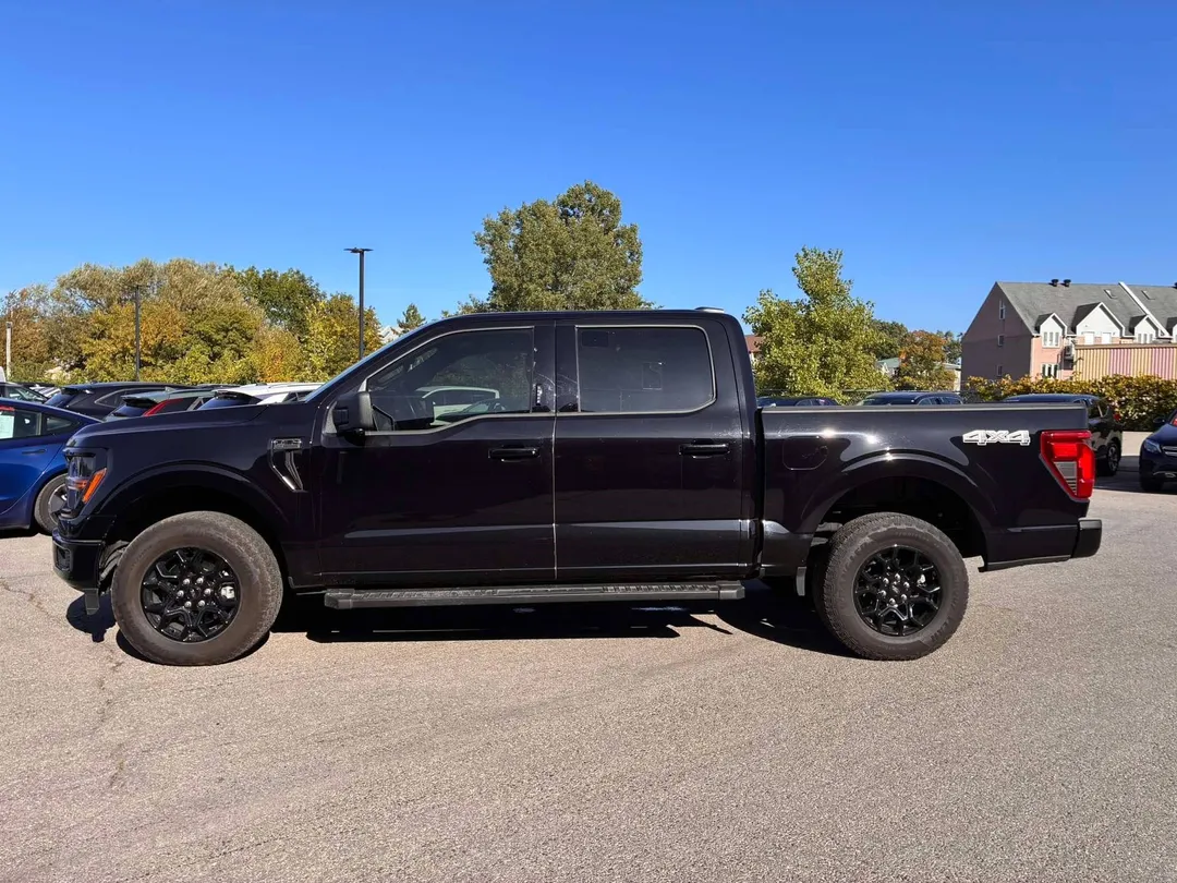 Ford F-150 XLT SuperCrew 4x4 2024, photo 5