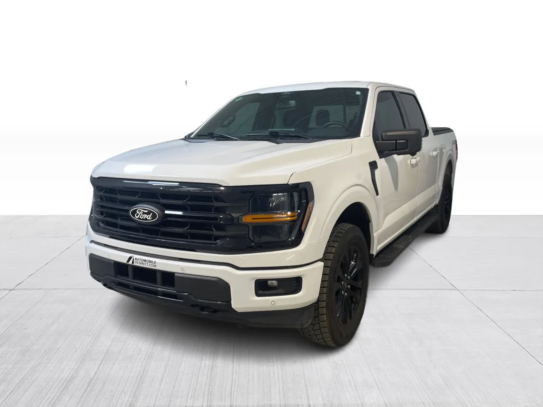 2025 Ford F-150 for sale - photo 3