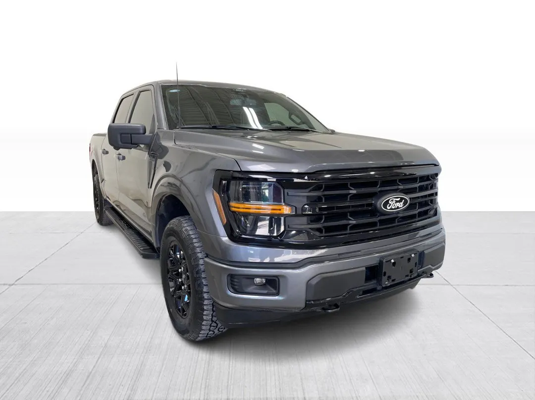 2024 Ford F-150 for sale - photo 1