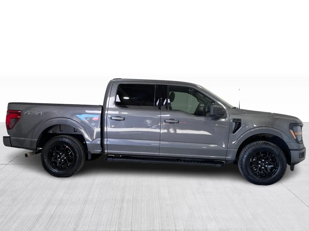 2024 Ford F-150 for sale - photo 2