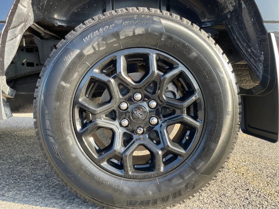 Ford F-150 XLT 4WD 2024, photo 5