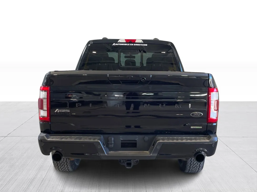 2022 Ford F-150 Platinum, photo 6