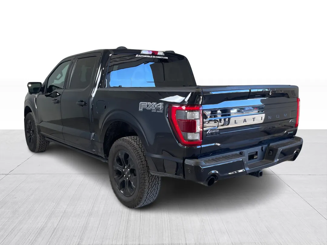 2022 Ford F-150 Platinum, photo 5