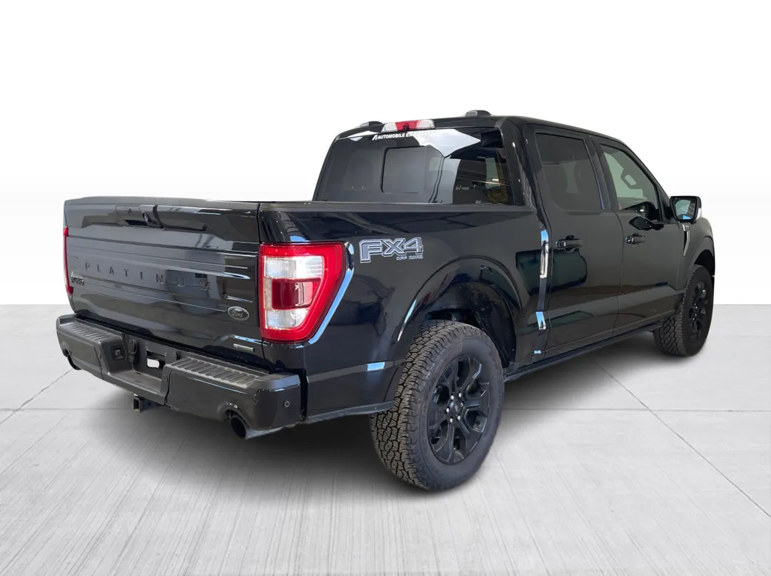 2022 Ford F-150 Platinum, photo 7