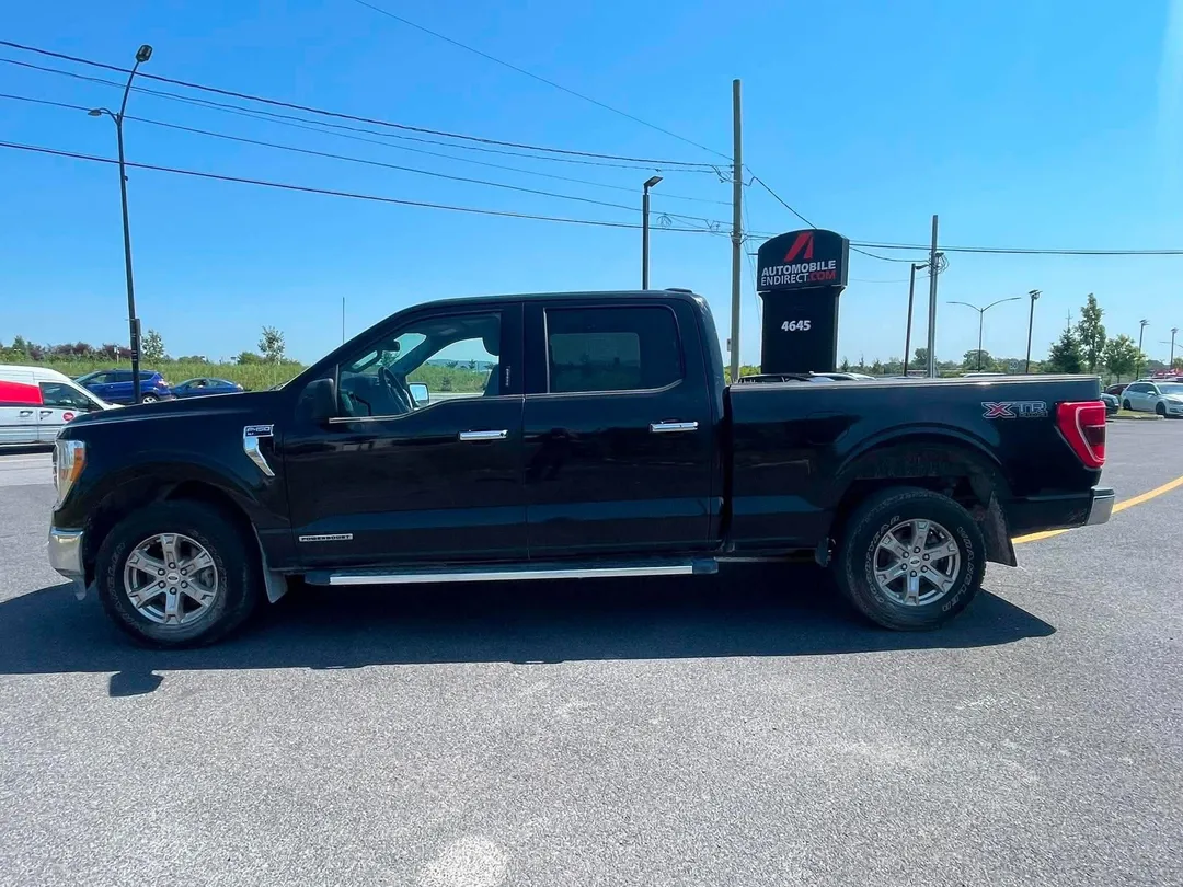 2023 Ford F-150 — photo 4