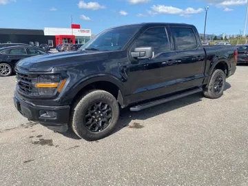 2024 Ford F-150 - image 3