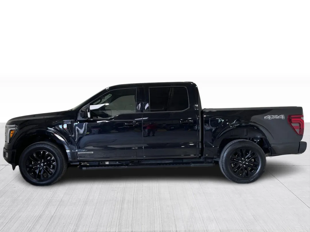 Ford F-150 LARIAT SuperCrew 4x4 2024, photo 10