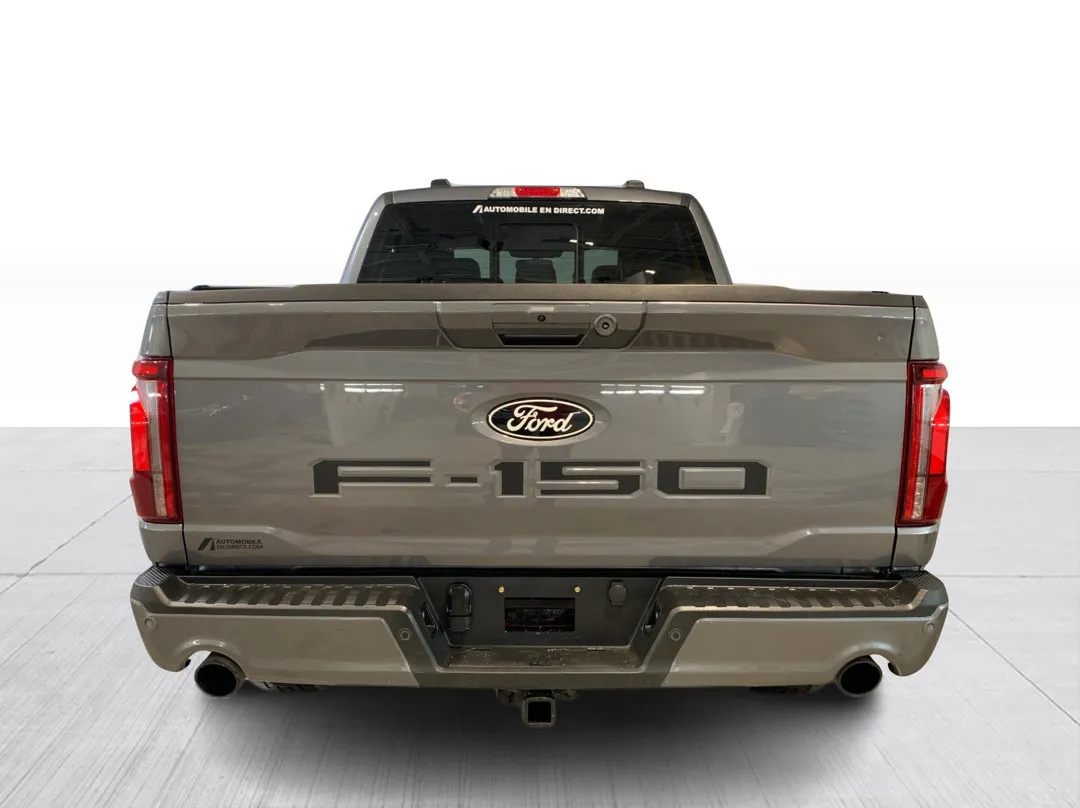 Ford F-150 Hybrid LARIAT SuperCrew 4x4 2024, photo 6