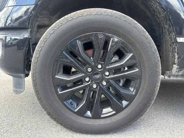 Ford F-150 LARIAT Crew Cab 4x4 2024, photo 6