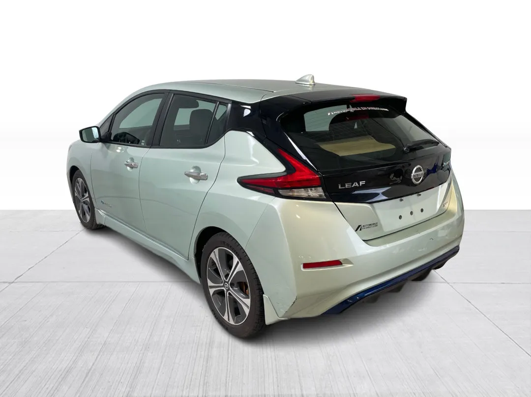 2018 Nissan LEAF SV, photo 10