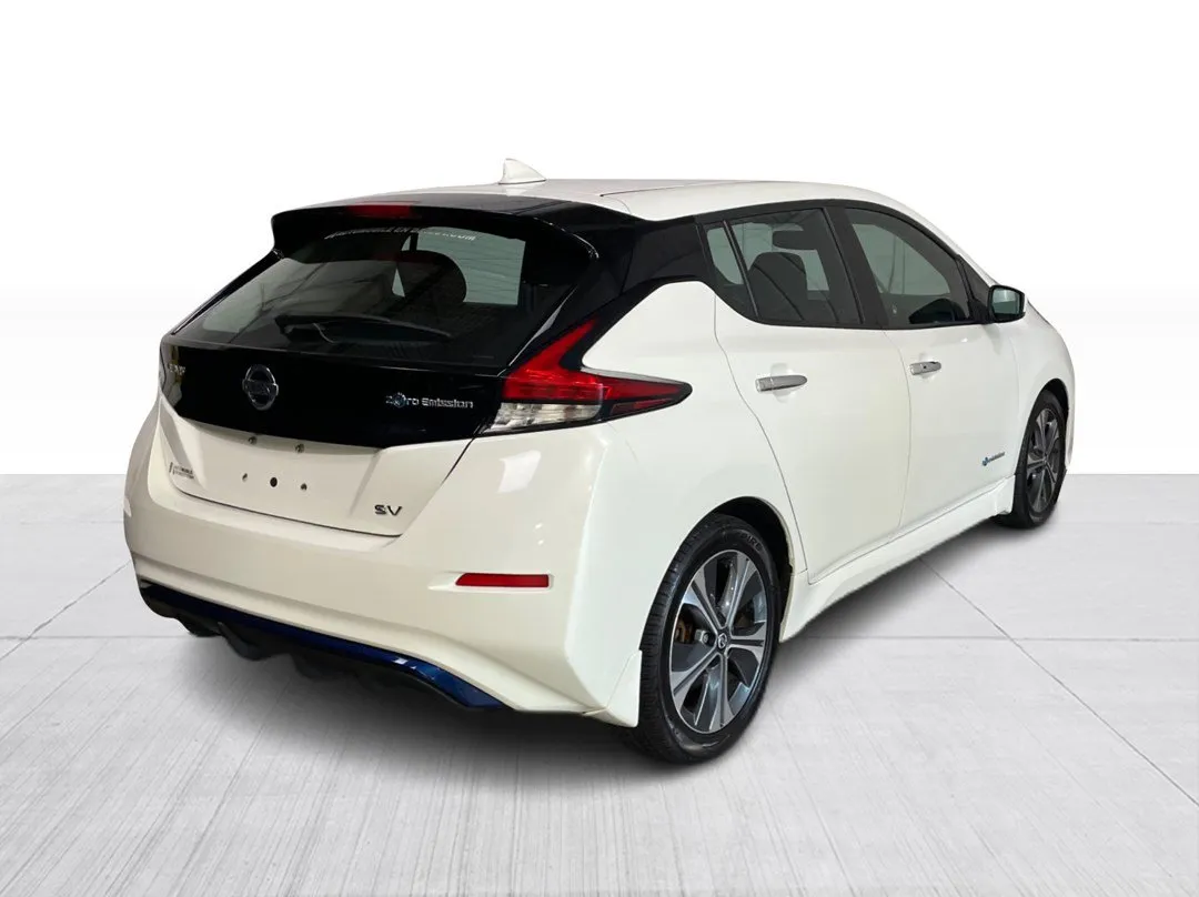 2019 Nissan LEAF — photo 7
