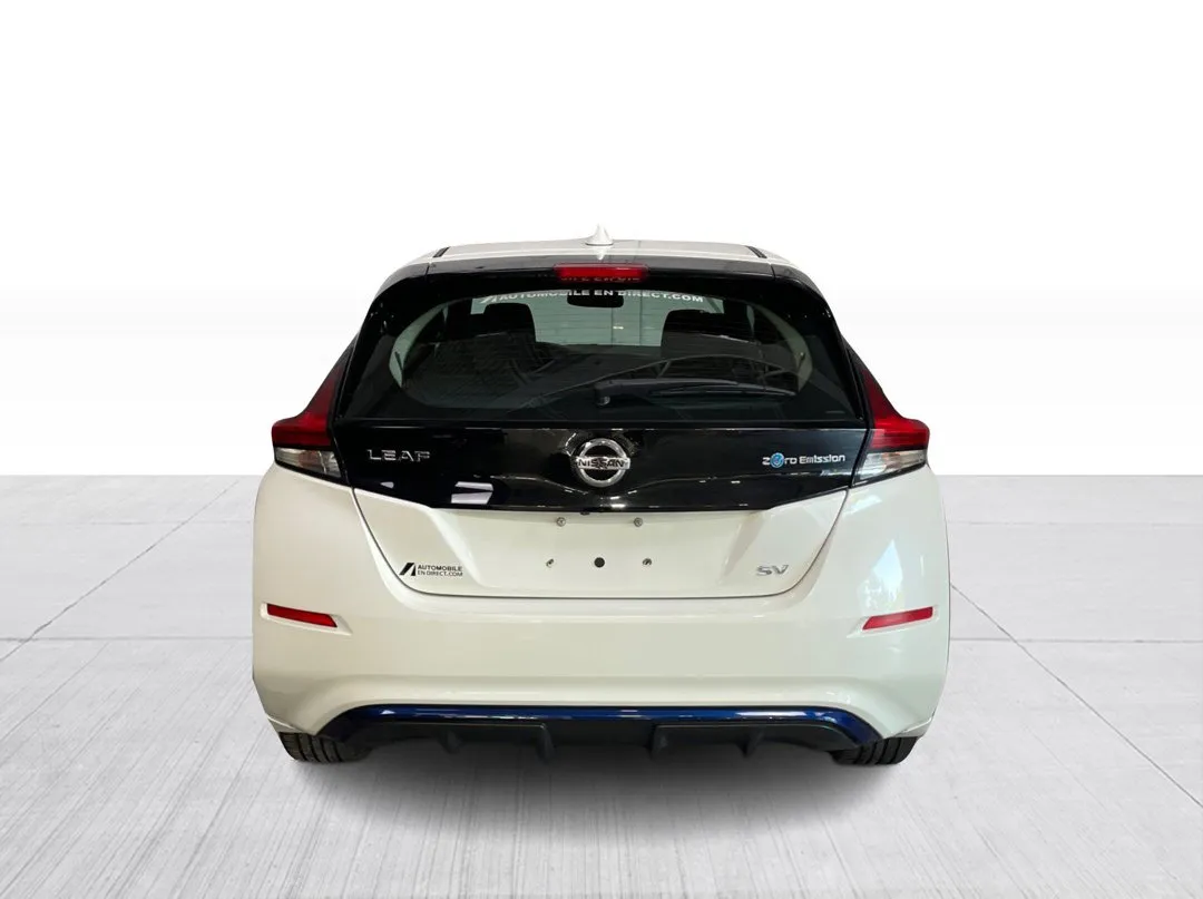 2019 Nissan LEAF — photo 6