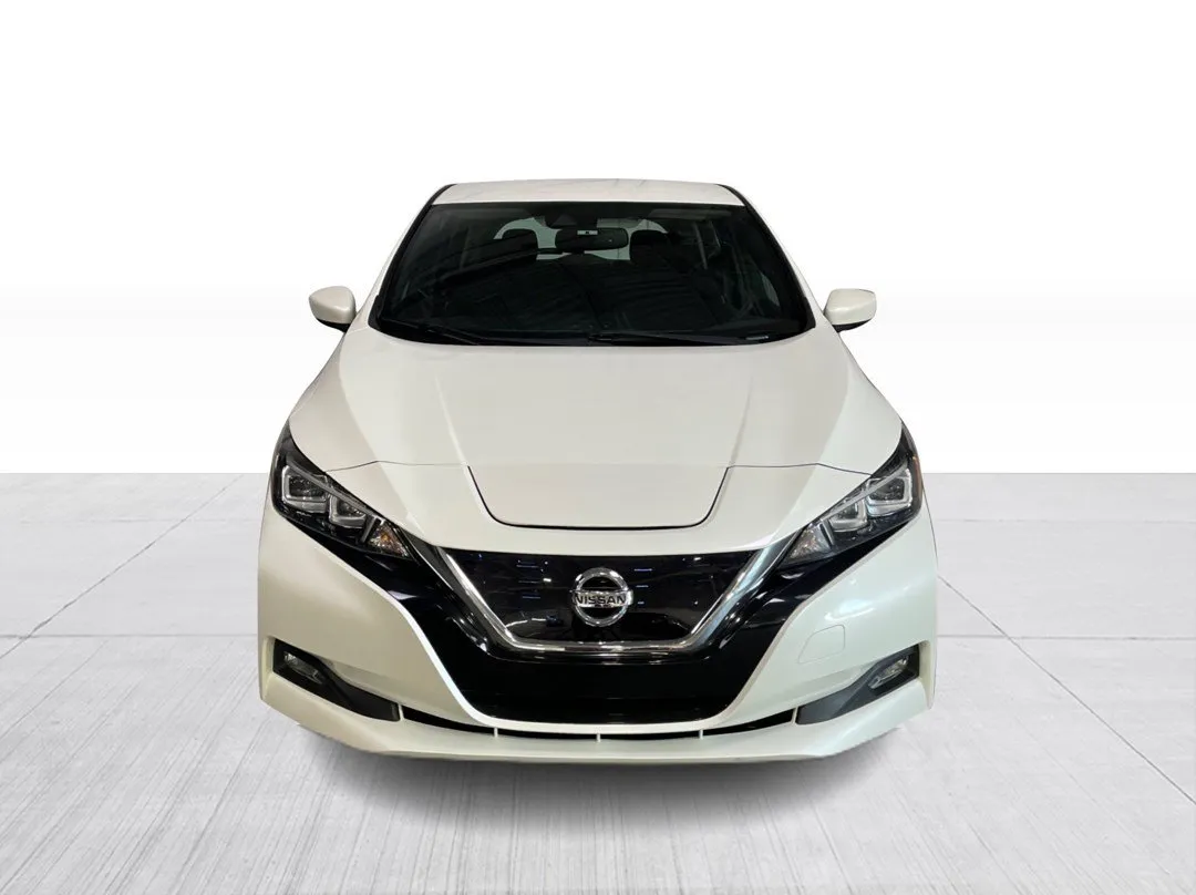 2019 Nissan LEAF — photo 2