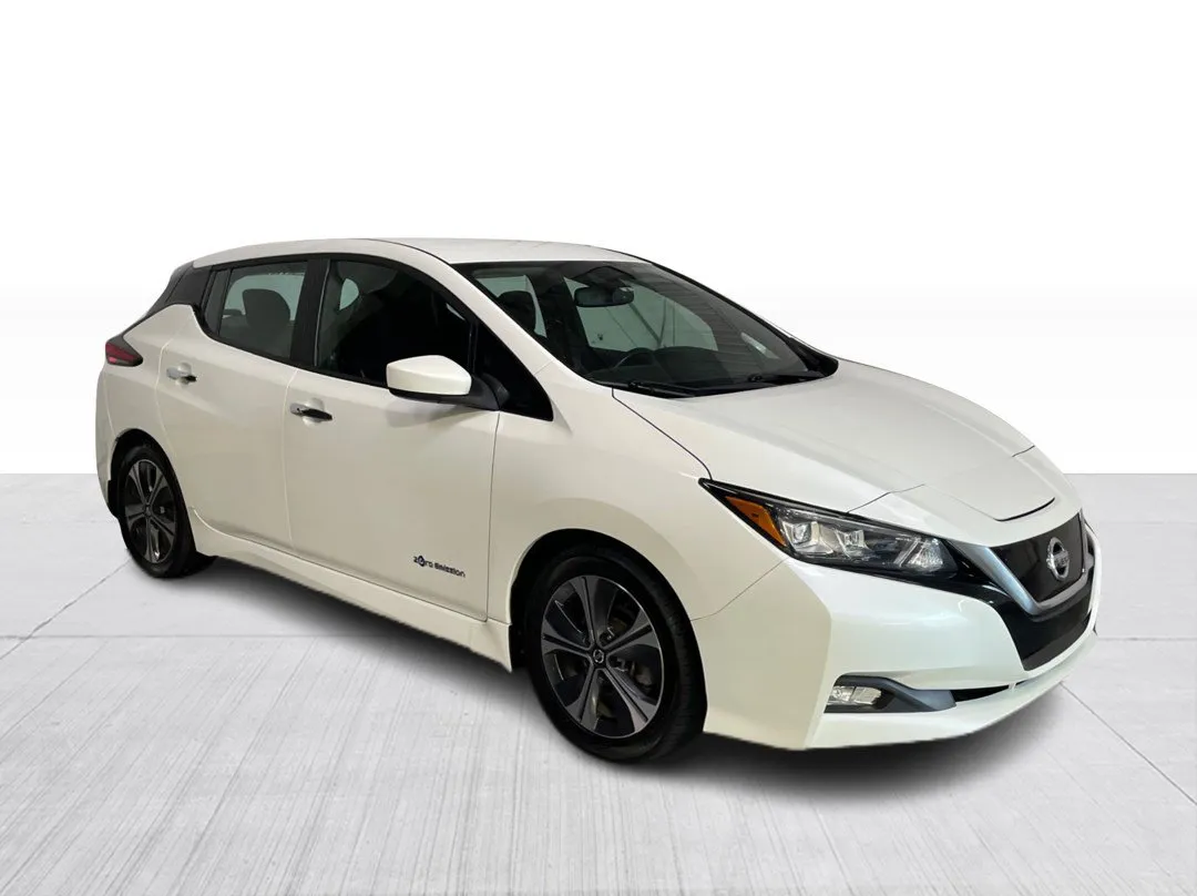 2019 Nissan LEAF