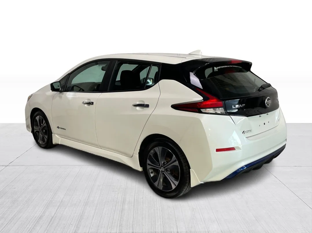 2019 Nissan LEAF — photo 5