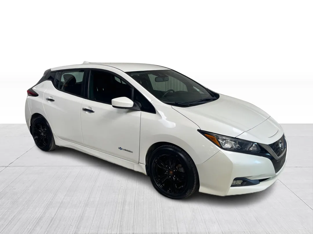 2019 Nissan LEAF