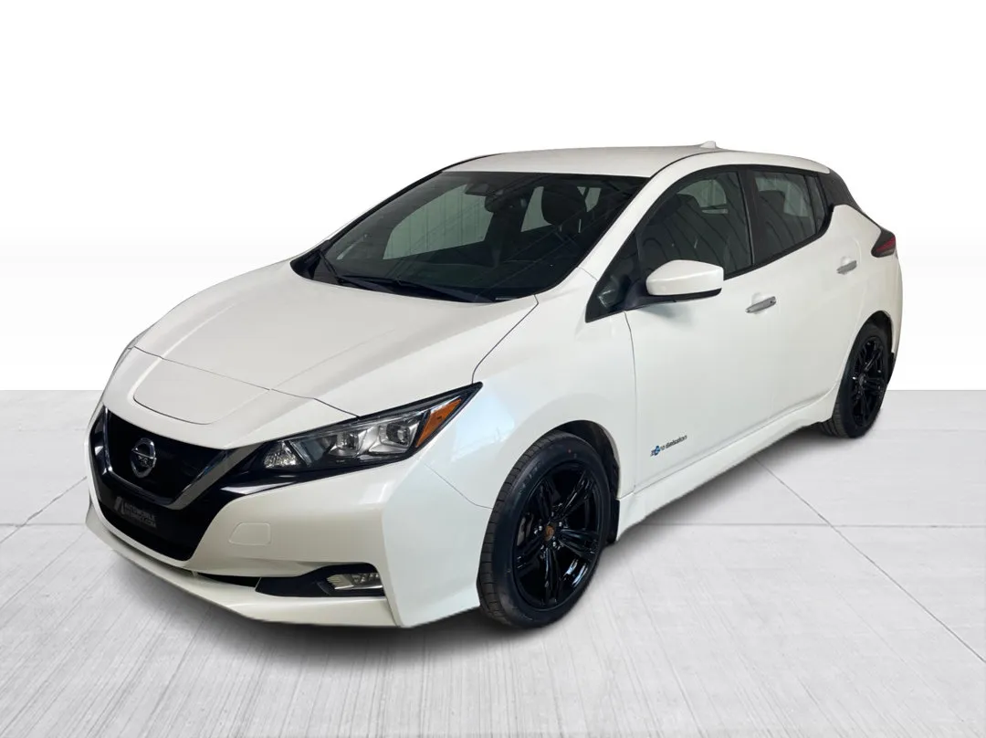 2019 Nissan LEAF — photo 8