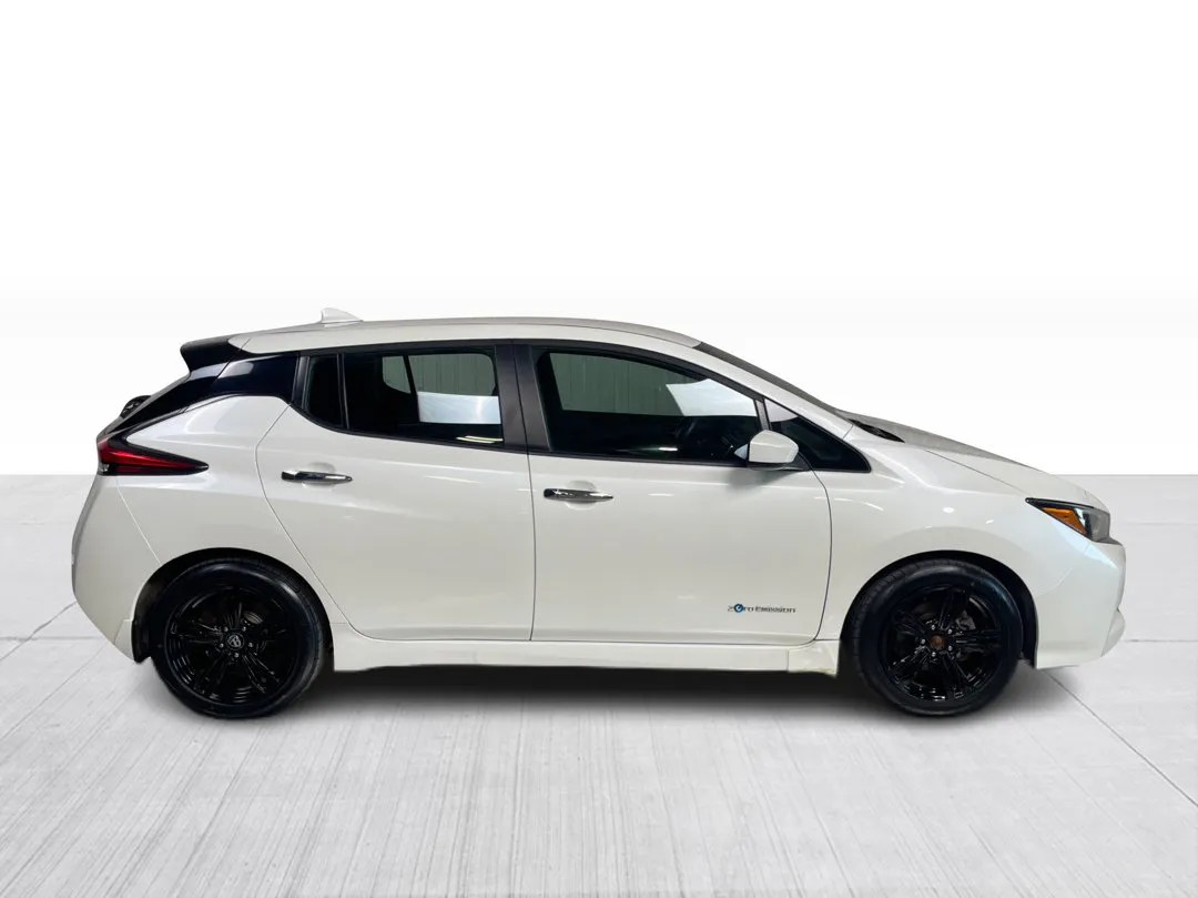 2019 Nissan LEAF — photo 2
