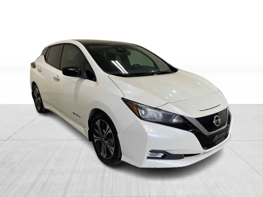 2019 Nissan LEAF