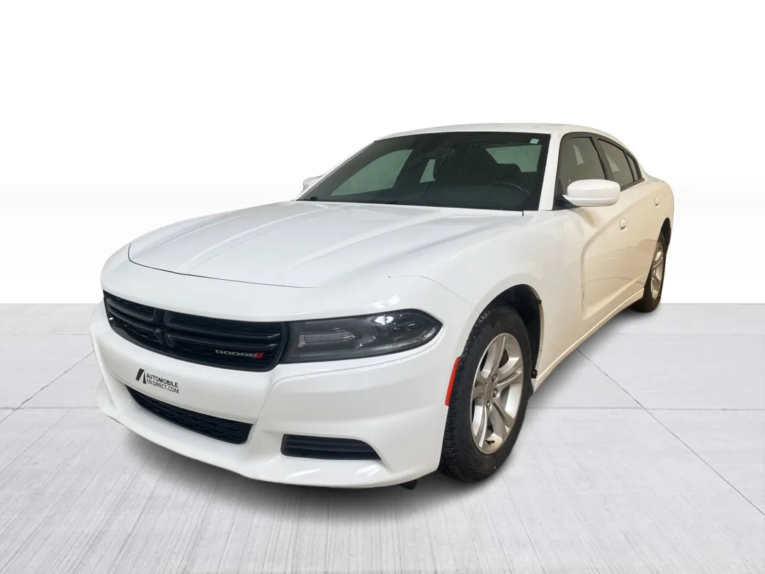 2019 Dodge Charger — photo 7