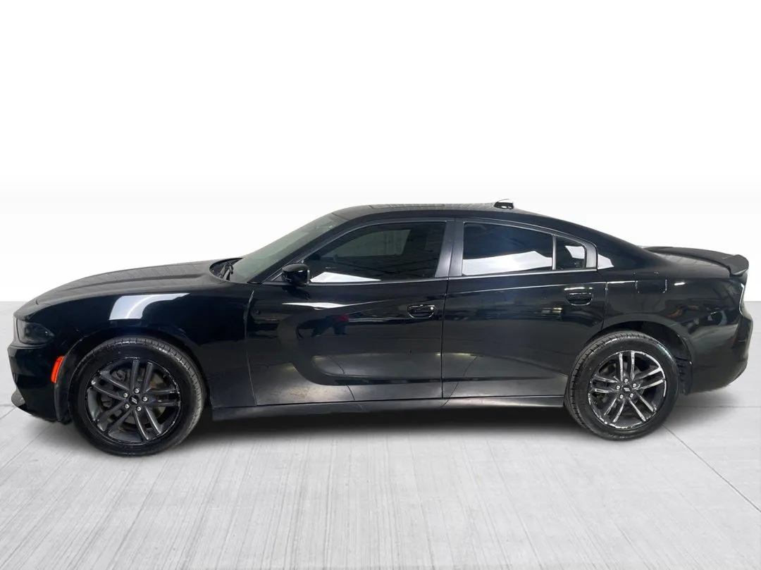 2019 Dodge Charger — photo 4