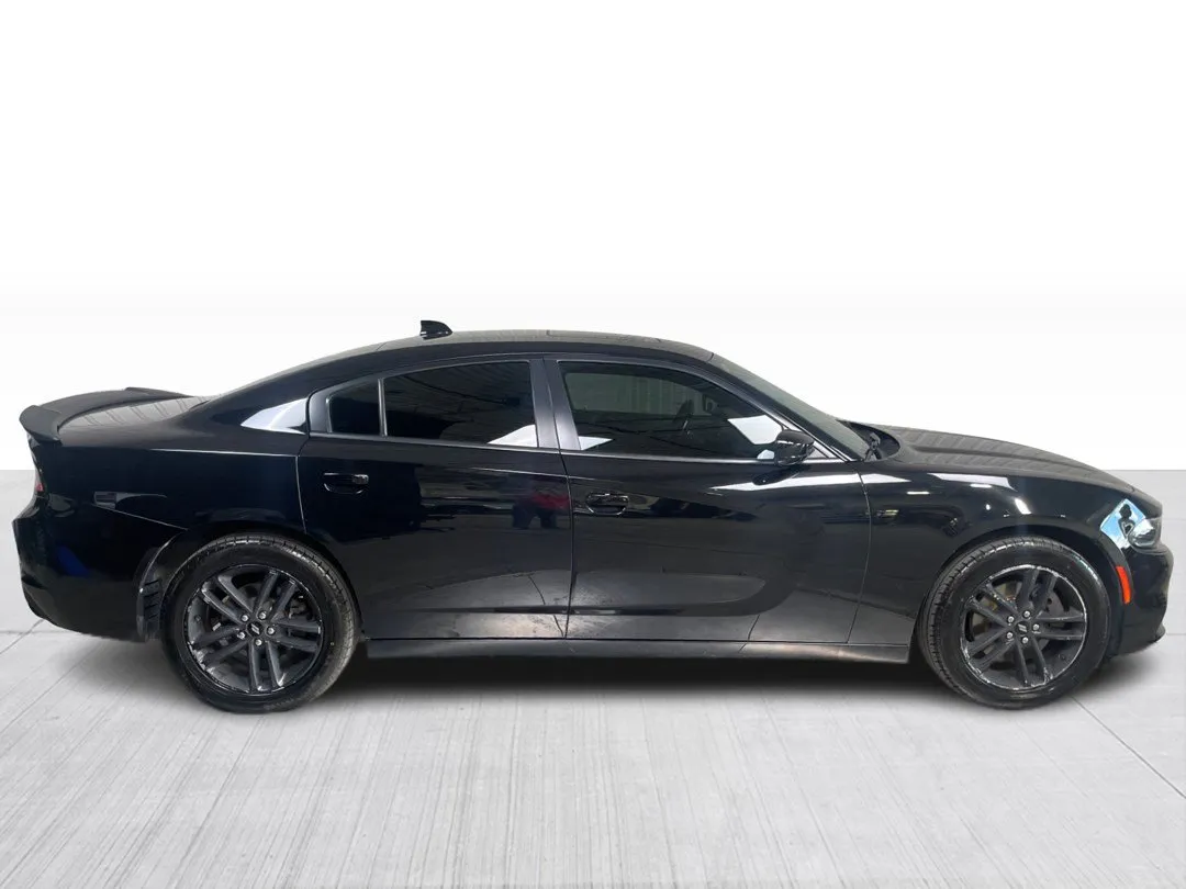 2019 Dodge Charger — photo 8