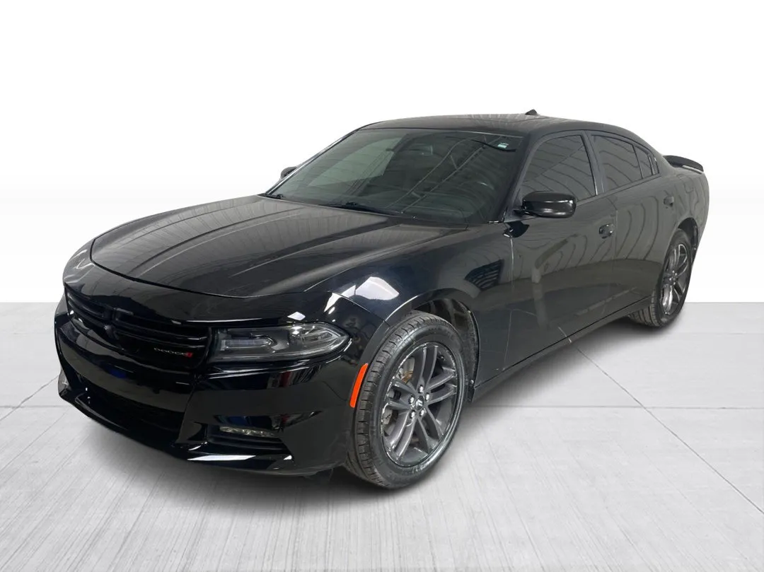 2019 Dodge Charger — photo 3