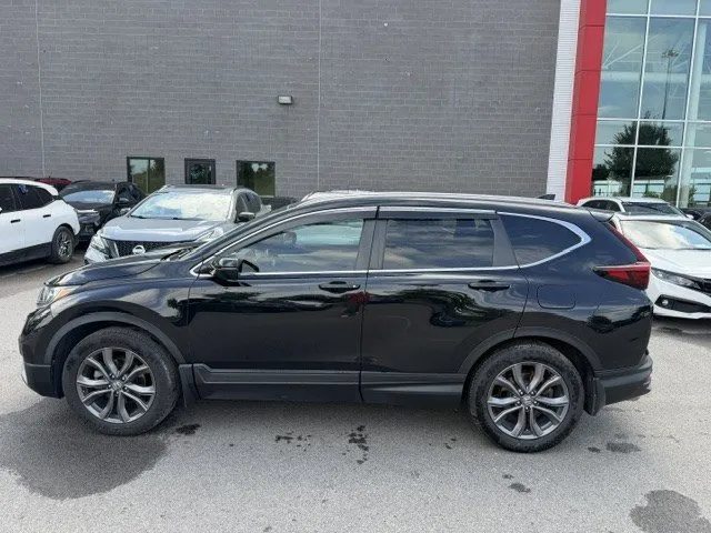 2020 Honda CR-V — photo 4