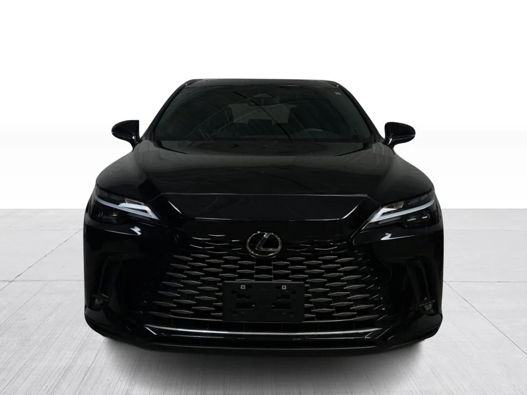 2025 Lexus RX — photo 7