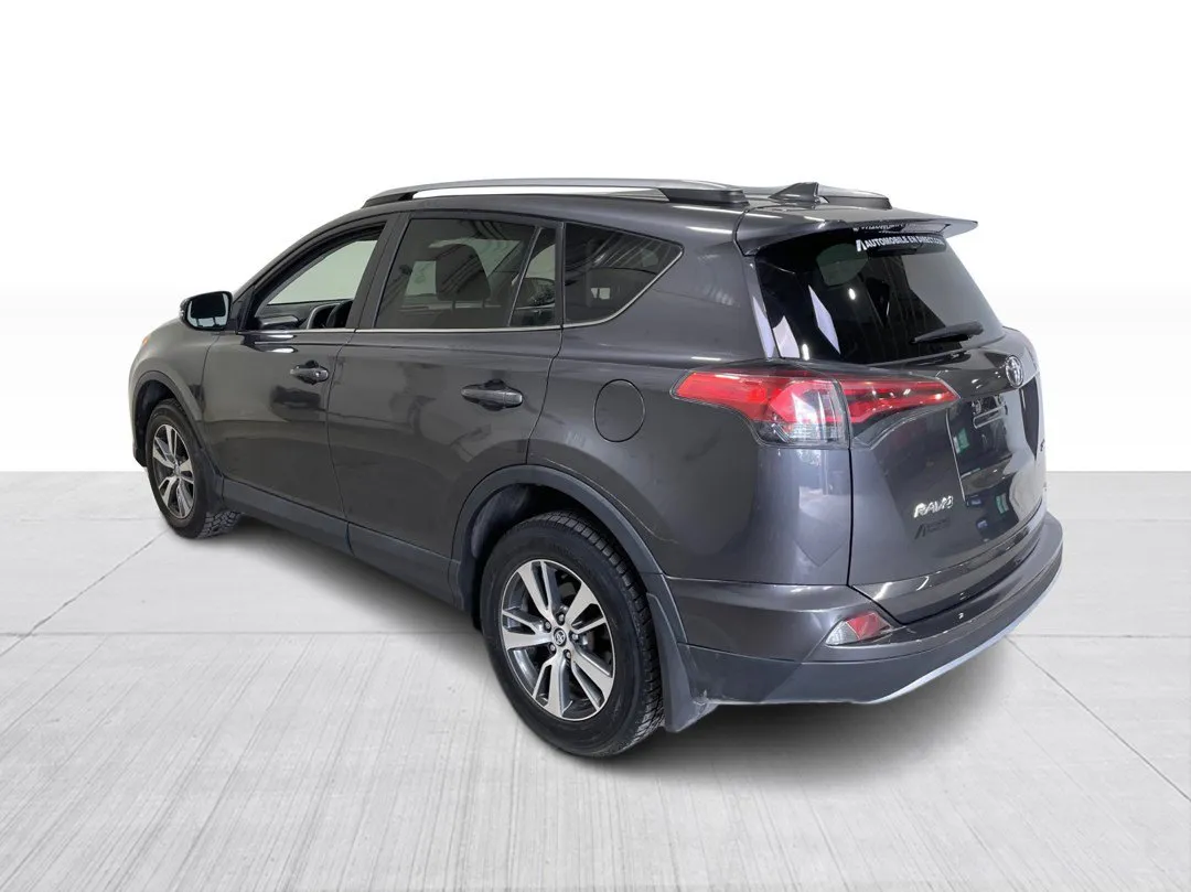 2017 Toyota RAV4 XLE, photo 10