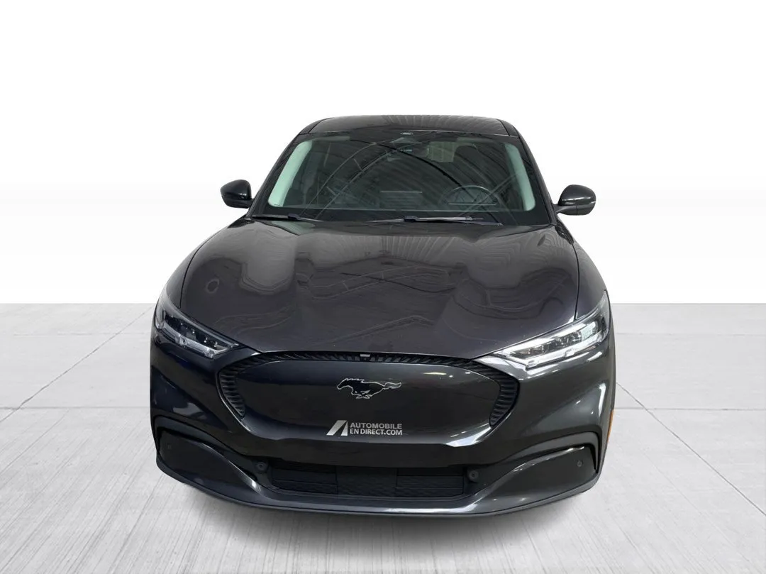 2022 Ford Mustang Mach-E — photo 7