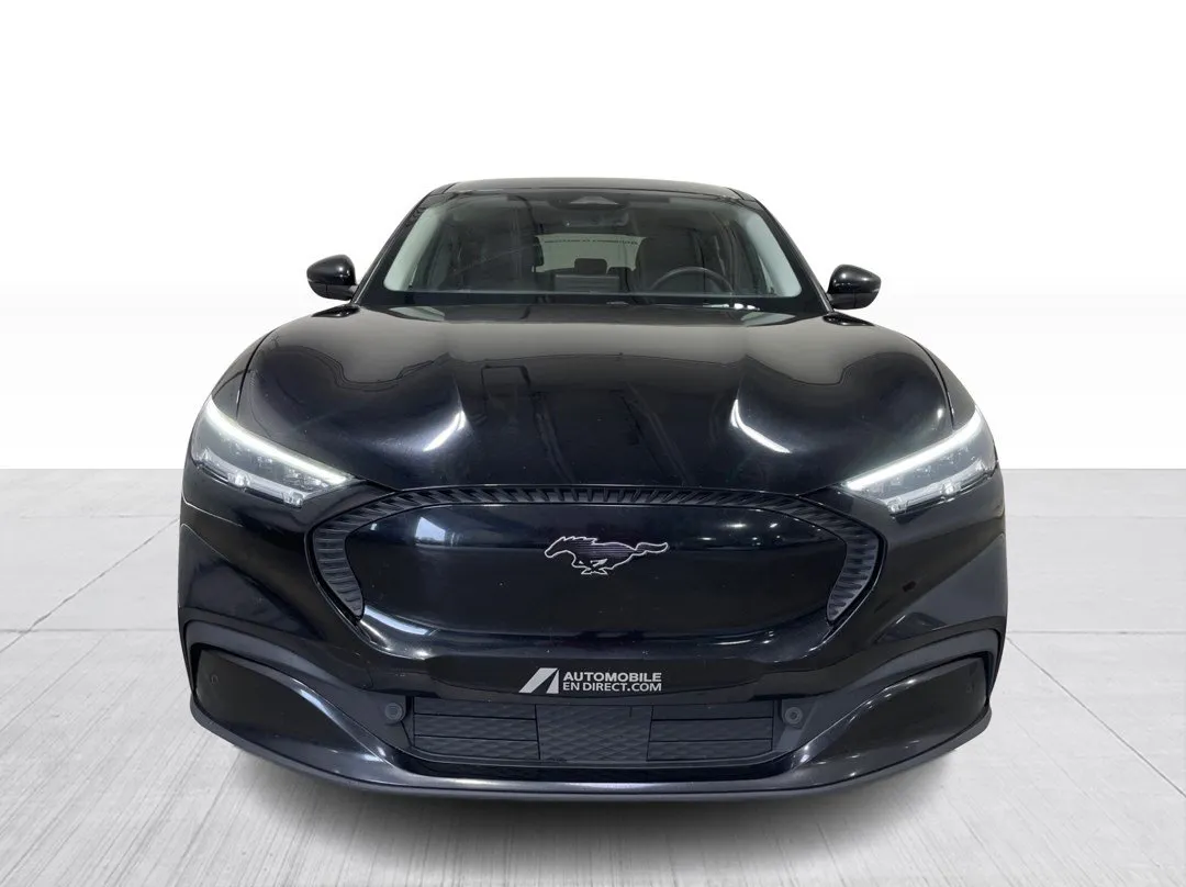 2022 Ford Mustang Mach-E — photo 7