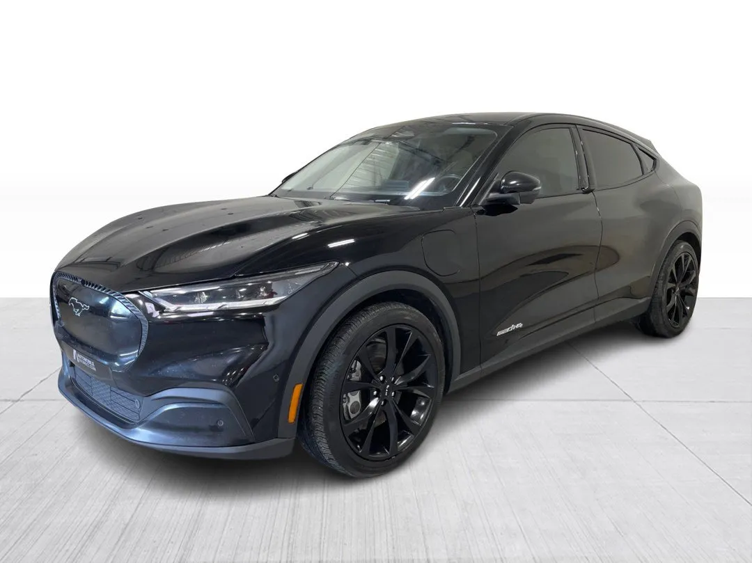 2022 Ford Mustang Mach-E for sale - photo 4