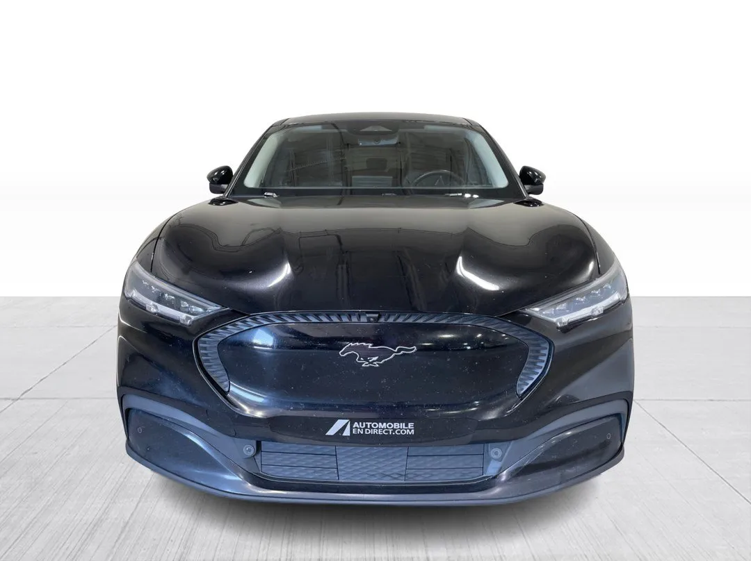 2022 Ford Mustang Mach-E for sale - photo 3
