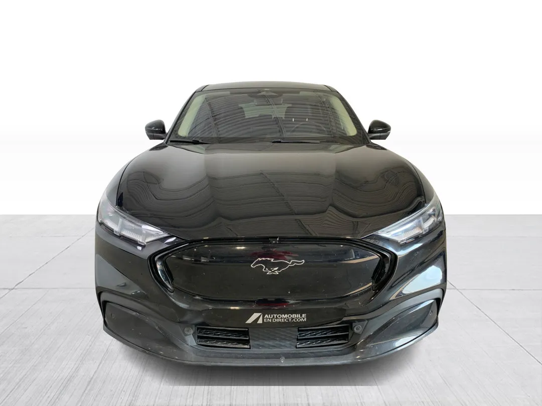 2022 Ford Mustang Mach-E — photo 8