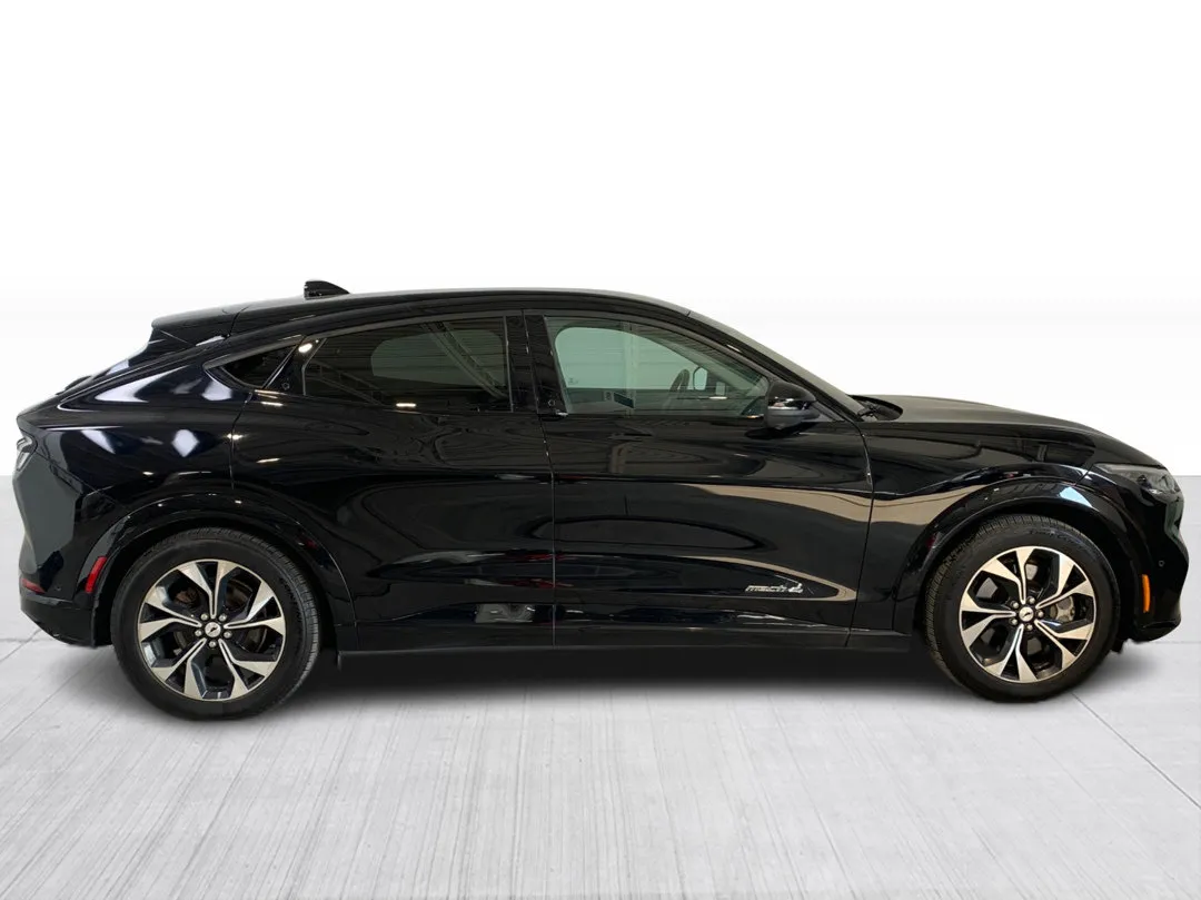 2022 Ford Mustang Mach-E — photo 2