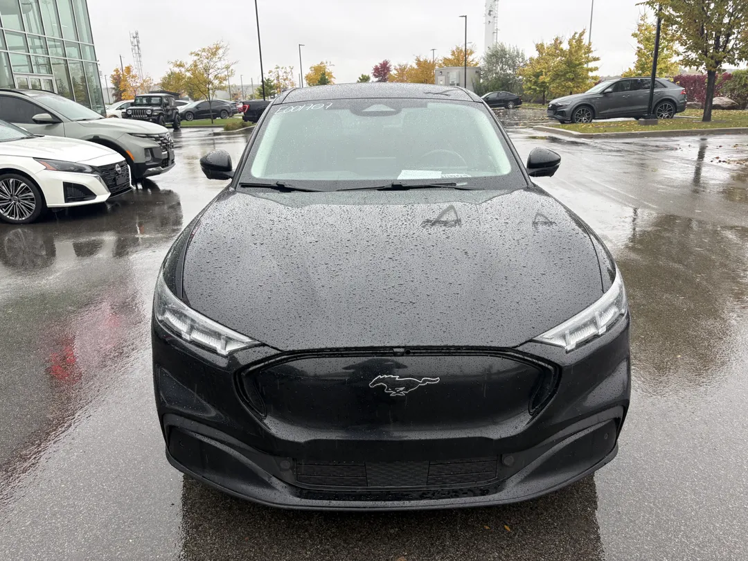 2021 Ford Mustang Mach-E for sale - photo 2