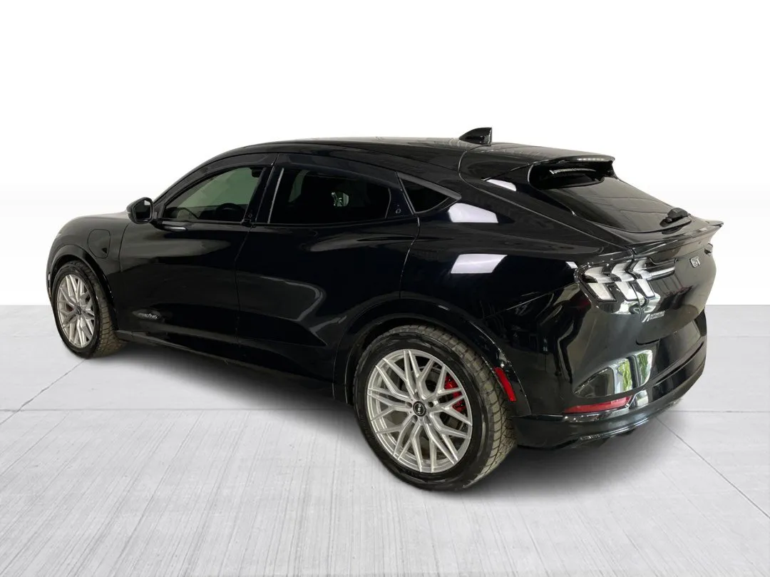 2022 Ford Mustang Mach-E GT Performance Edition, photo 10