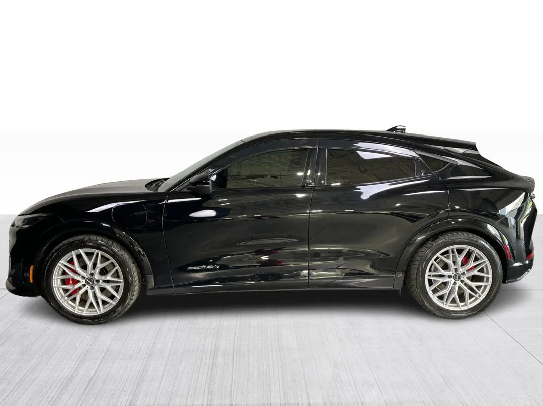 2022 Ford Mustang Mach-E GT Performance Edition, photo 9