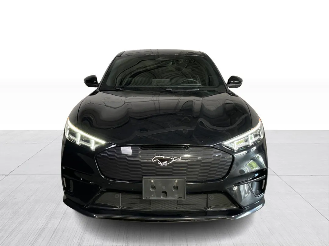 2022 Ford Mustang Mach-E GT Performance Edition, photo 7