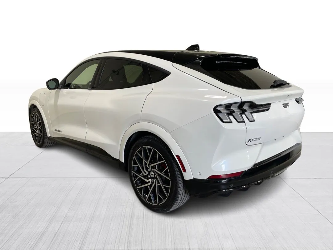 Ford Mustang Mach-E GT Performance Edition AWD 2022, photo 6