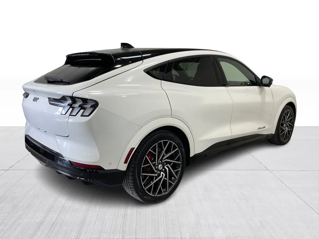 Ford Mustang Mach-E GT Performance Edition AWD 2022, photo 8
