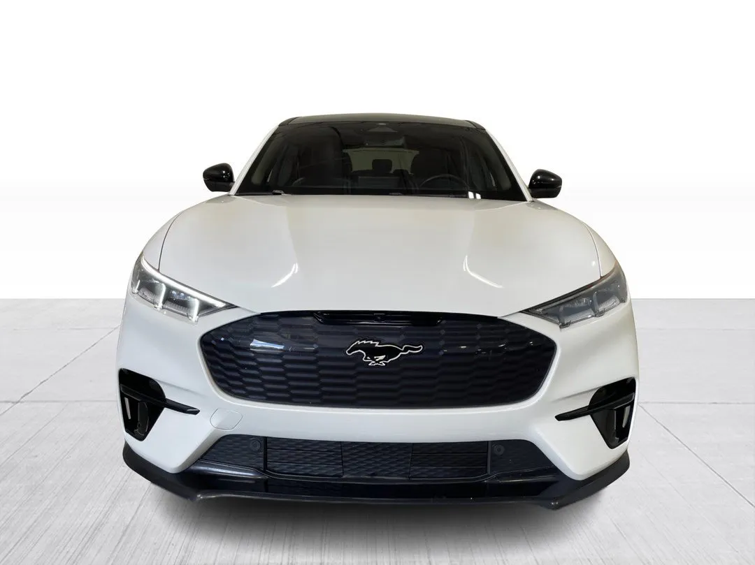 Ford Mustang Mach-E GT Performance Edition AWD 2022, photo 3